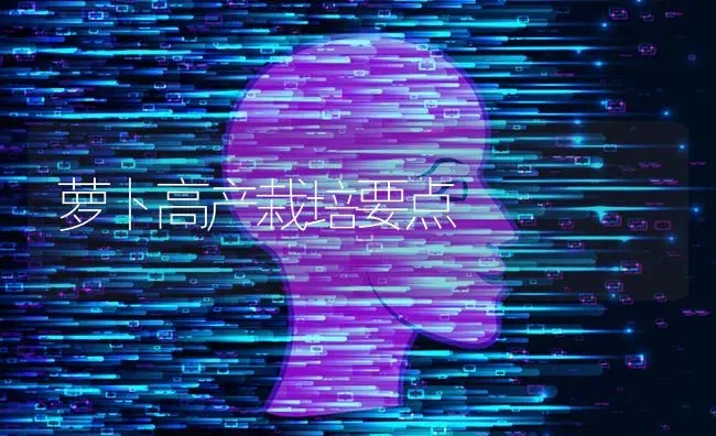 萝卜高产栽培要点 | 蔬菜种植
