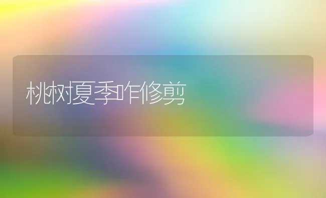 桃树夏季咋修剪 | 瓜果种植