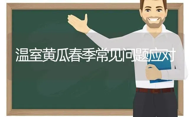 温室黄瓜春季常见问题应对 | 蔬菜种植