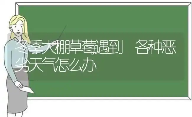冬季大棚草莓遇到 各种恶劣天气怎么办 | 瓜果种植