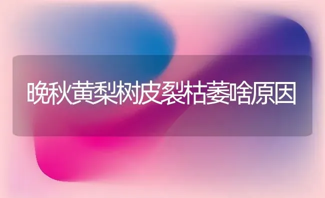 晚秋黄梨树皮裂枯萎啥原因 | 瓜果种植