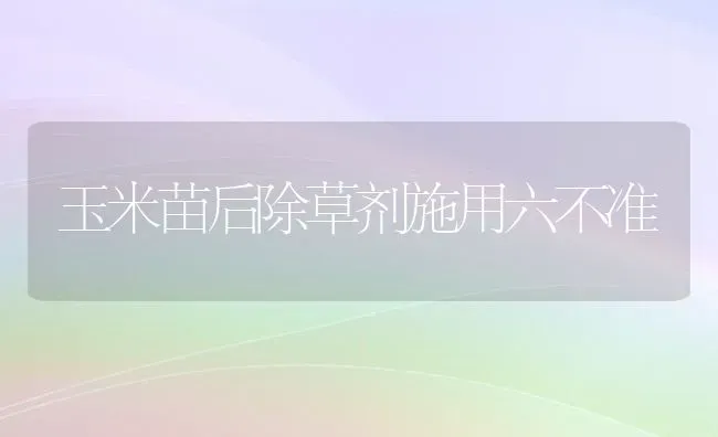 玉米苗后除草剂施用六不准 | 粮油作物种植