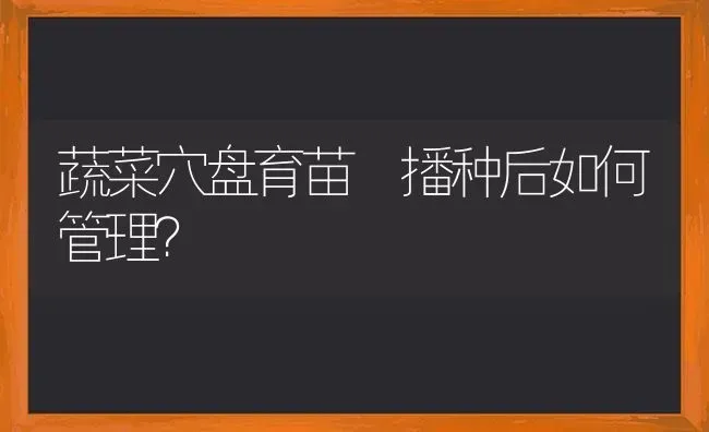 蔬菜穴盘育苗　播种后如何管理？ | 蔬菜种植