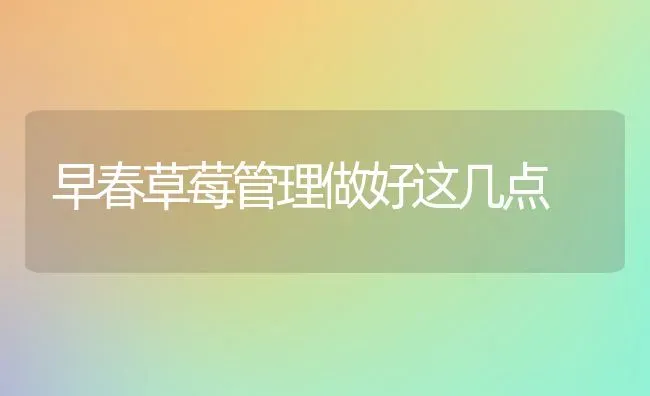 早春草莓管理做好这几点 | 瓜果种植