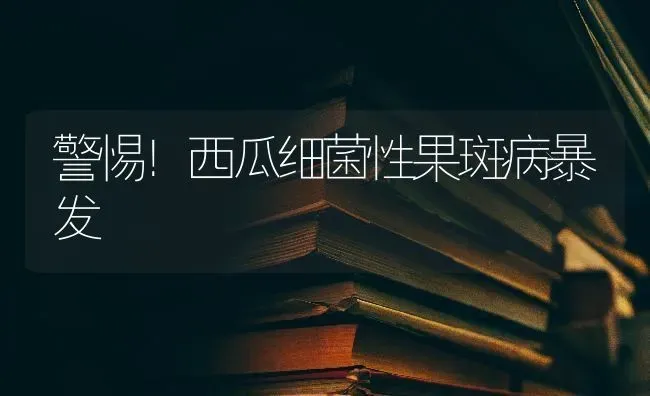 警惕！西瓜细菌性果斑病暴发 | 瓜果种植