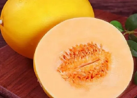 水果科普|兰州水果特产有哪些 当地盛产的水果品种