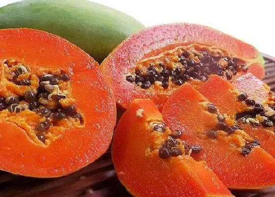 食用须知|木瓜熟透了能吃吗