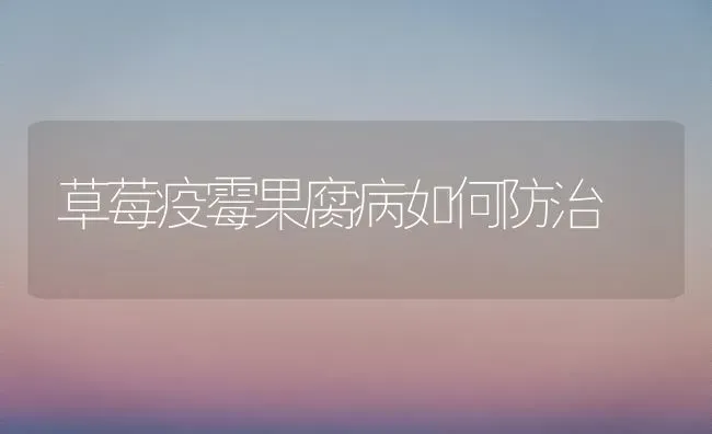 草莓疫霉果腐病如何防治 | 瓜果种植