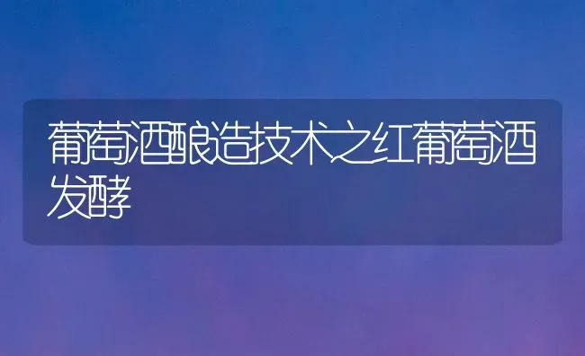 葡萄酒酿造技术之红葡萄酒发酵 | 瓜果种植
