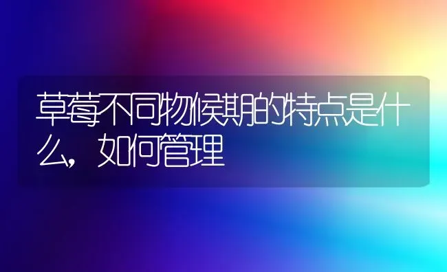 草莓不同物候期的特点是什么，如何管理 | 瓜果种植