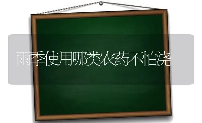 雨季使用哪类农药不怕浇 | 种植病虫害防治