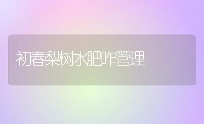 初春梨树水肥咋管理 | 瓜果种植