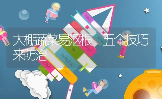 大棚蔬菜易沤根 五个技巧来防治 | 蔬菜种植