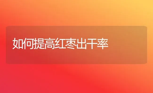 如何提高红枣出干率 | 瓜果种植