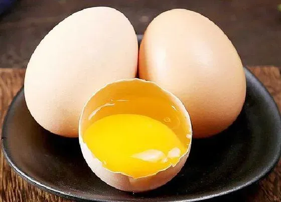 食用须知|吃完柚子千万别碰5种食物（吃了柚子不能吃哪些东西）