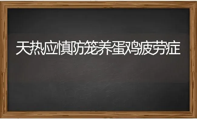 天热应慎防笼养蛋鸡疲劳症 | 瓜果种植