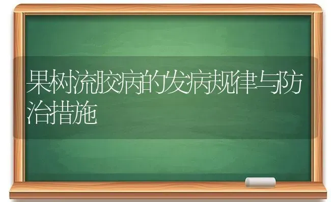 果树流胶病的发病规律与防治措施 | 瓜果种植