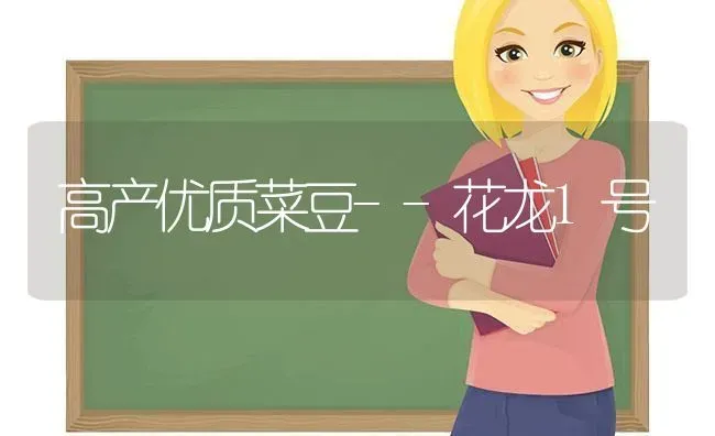 高产优质菜豆--花龙1号 | 蔬菜种植