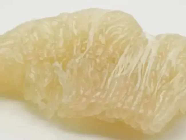 食用须知|吃完柚子千万别碰5种食物（吃了柚子不能吃哪些东西）