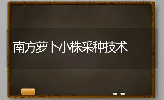 南方萝卜小株采种技术 | 蔬菜种植