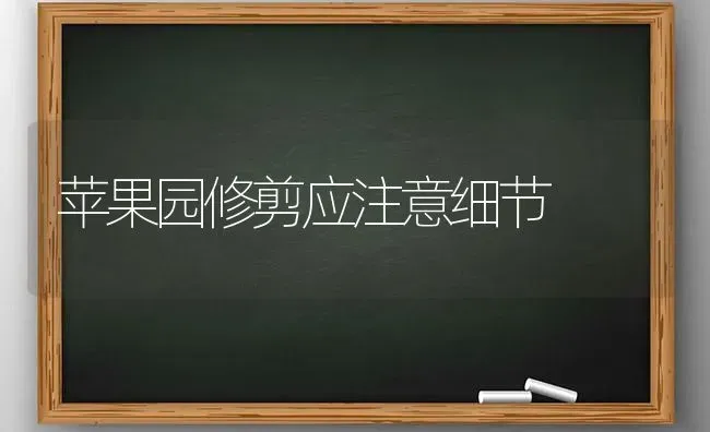 苹果园修剪应注意细节 | 瓜果种植