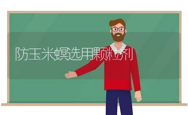 防玉米螟选用颗粒剂 | 粮油作物种植