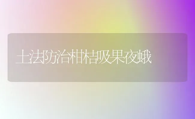 土法防治柑桔吸果夜蛾 | 瓜果种植