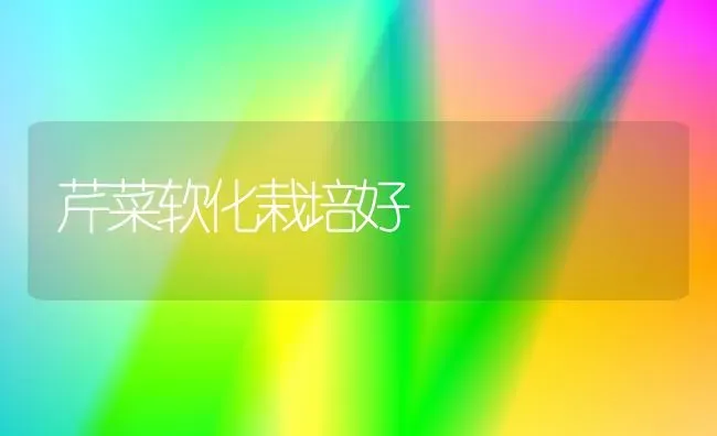 芹菜软化栽培好 | 蔬菜种植
