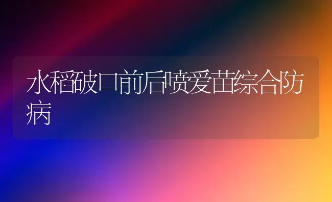 水稻破口前后喷爱苗综合防病 | 粮油作物种植