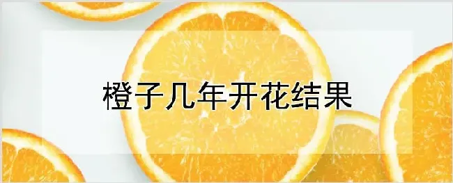 橙子几年开花结果 | 种植资料