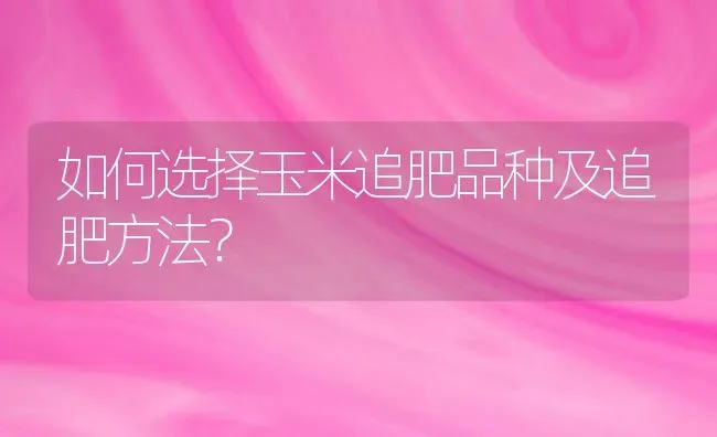 如何选择玉米追肥品种及追肥方法？ | 粮油作物种植