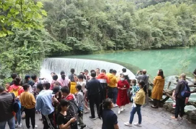 植物种类|国庆首日景点人从众 国庆假期人头攒动的景区