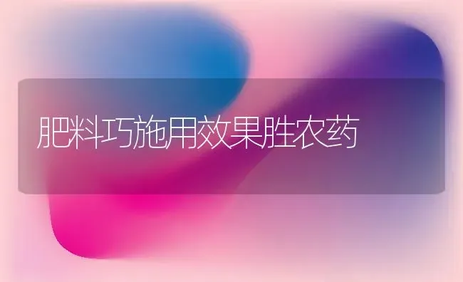 肥料巧施用效果胜农药 | 瓜果种植