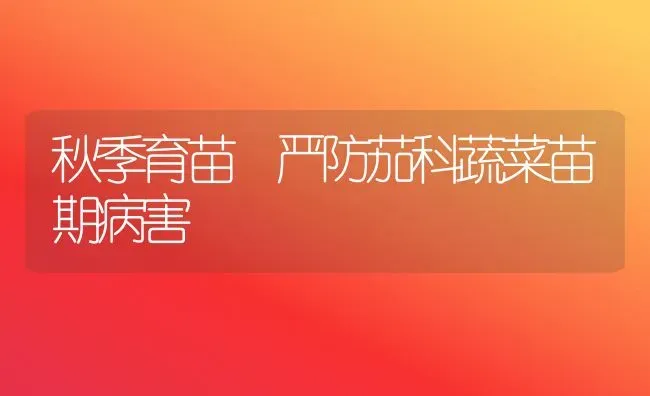 秋季育苗 严防茄科蔬菜苗期病害 | 蔬菜种植