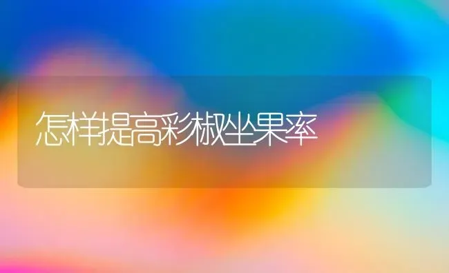 怎样提高彩椒坐果率 | 瓜果种植