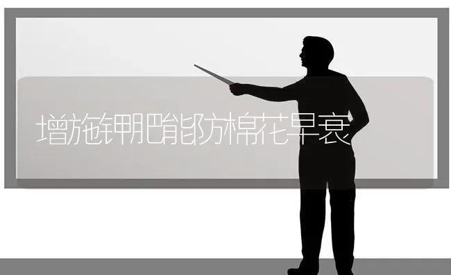 增施钾肥能防棉花早衰 | 粮油作物种植