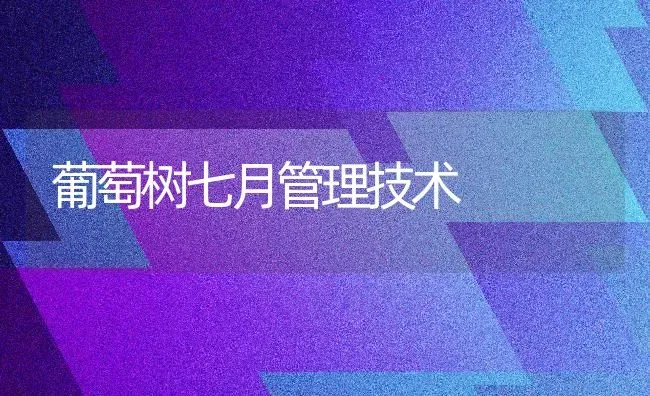 葡萄树七月管理技术 | 瓜果种植