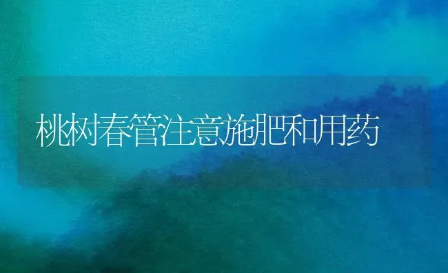 桃树春管注意施肥和用药 | 种植肥料施肥