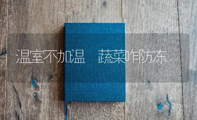 温室不加温 蔬菜咋防冻 | 蔬菜种植