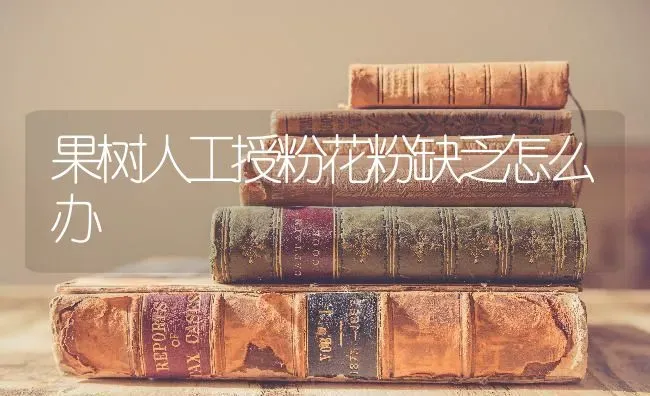 果树人工授粉花粉缺乏怎么办 | 瓜果种植