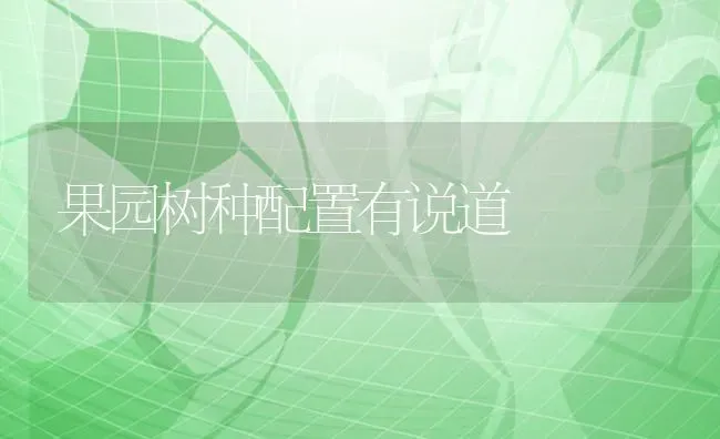 果园树种配置有说道 | 瓜果种植