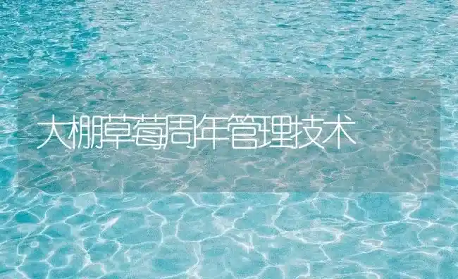 大棚草莓周年管理技术 | 瓜果种植