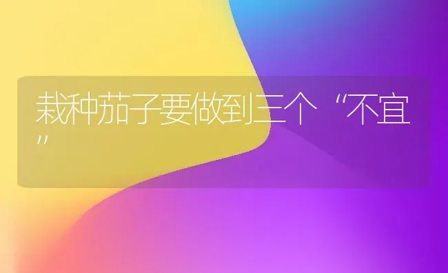 栽种茄子要做到三个“不宜” | 蔬菜种植