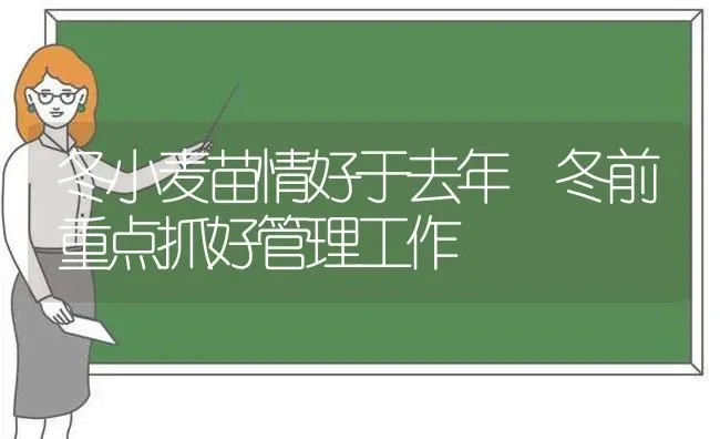 冬小麦苗情好于去年 冬前重点抓好管理工作 | 粮油作物种植