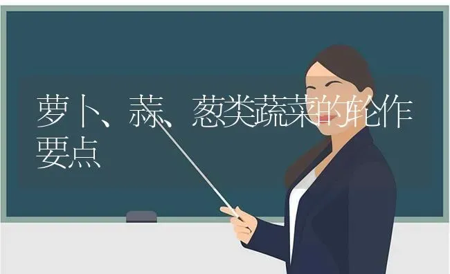 萝卜、蒜、葱类蔬菜的轮作要点 | 蔬菜种植