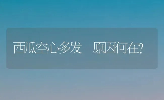 西瓜空心多发 原因何在？ | 瓜果种植