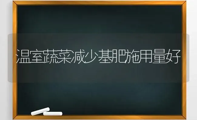 温室蔬菜减少基肥施用量好 | 蔬菜种植