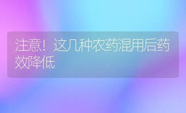 注意！这几种农药混用后药效降低 | 种植病虫害防治