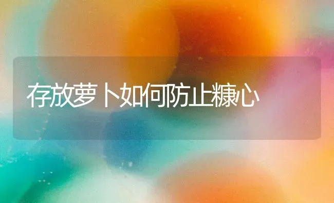 存放萝卜如何防止糠心 | 蔬菜种植
