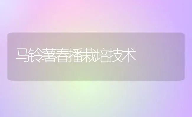 马铃薯春播栽培技术 | 粮油作物种植